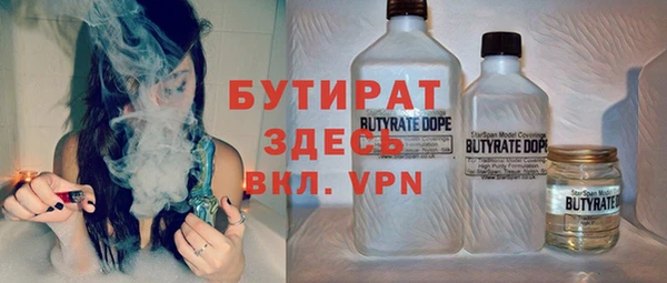 мдпв Бородино
