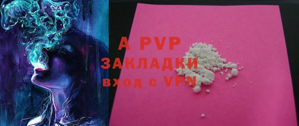 мдпв Бородино