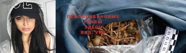 соль ск Бронницы