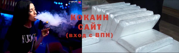 мдпв Бородино