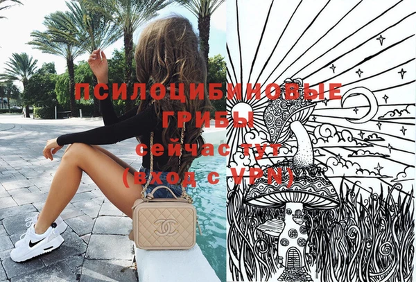 соль ск Бронницы