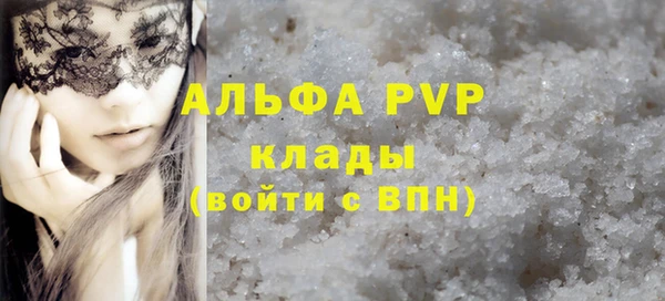 мдпв Бородино
