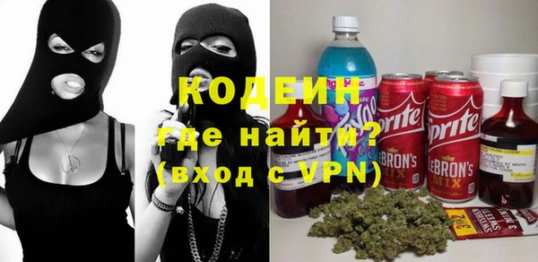 мдпв Бородино