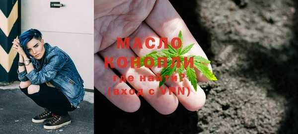 мдпв Бородино