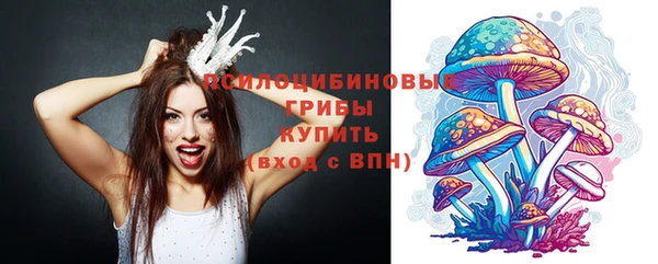 соль ск Бронницы
